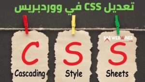 تعديل CSS في ووردبريس